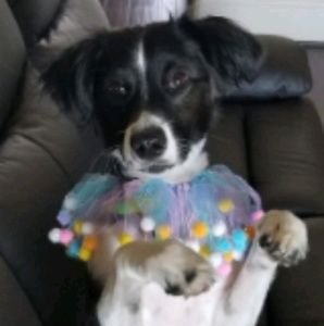 Meet your Posher, Lindsey